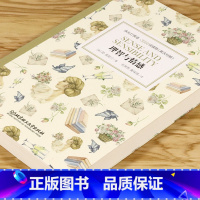 [正版] 床头灯英语3000词读物 理智与情感 中英文对照双语