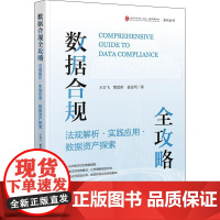 数据合规全攻略:法规解析·实践应用·数据资产探索 王岩飞 樊思琪 聂雯珺著 法律出版社 正版图书