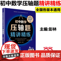正版]初中数学压轴题精讲精练 九年级+中考初三数学同步专项训练练习题必刷题知识大全难度大题 9年级上下一册辅导全国通用