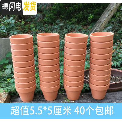 三维工匠陶瓷多肉花盆简约大号绿萝兰花盆粗陶透气泥瓦小花盆 5.5*5(40个装) 中花盆容器