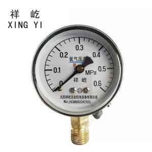 祥屹 +氧气压力表检测定制型+YO60+块