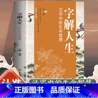 [正版]字解人生 汉字中的生命智慧 人生哲学智慧国学经典画说汉字文字汉字的中国故事说文解字汉字人生书人生哲学智慧书籍人生