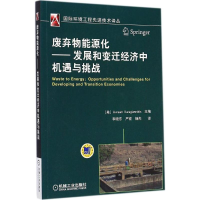 正版新书]废弃物能源化-发展和变迁经济中机遇与挑战卡拉基恩尼