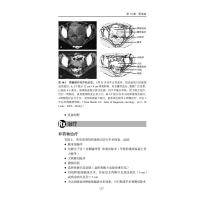 Ferri 临床诊疗指南系列丛书Ferri临床诊疗指南——妇产科疾病诊疗速查手册