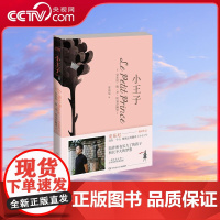 [央视网]小王子 2018 陪伴所有长大了的孩子和长不大的梦想 还原小王子灵动治愈爱之童话 TJ