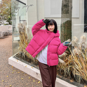 羽绒棉衣棉服女外套2023年秋冬季新款短款面包服港风学生胖MM棉袄_173351