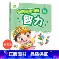 [正版]学前训练智力幼小衔接一日一练入学准备思维训练学前班幼儿园大班幼升小练习册 左右脑思维训练全脑潜能开发训练中班儿