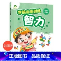 [正版]学前训练智力幼小衔接一日一练入学准备思维训练学前班幼儿园大班幼升小练习册 左右脑思维训练全脑潜能开发训练中班儿