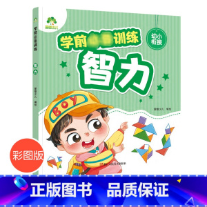 [正版]学前训练智力幼小衔接一日一练入学准备思维训练学前班幼儿园大班幼升小练习册 左右脑思维训练全脑潜能开发训练中班儿