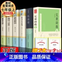 赠考点(版本随机)九年级上册6册 [正版]简爱儒林外史九年级下册水浒传和艾青诗选无删减完整版课外书