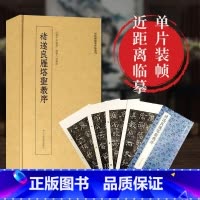 近距离临摹碑帖丛刊:褚遂良雁塔圣教序 [正版]褚遂良雁塔圣教序 高清原大碑帖单片装帧字卡 大唐三藏圣教序 近距离临摹卡片