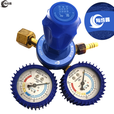 有成鑫 氧气减压器 氧气表 YQY-07/块