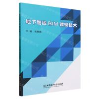 [N]地下管线BIM建模技术-9787576325058
