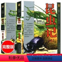 昆虫记上下 [正版]世界经典动物名著昆虫记初中生小学生四年级法布尔原著三四五年级上下册9-14岁课外阅读书籍完整版必读书