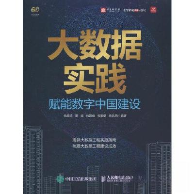 正版新书]大数据实践 赋能数字中国建设朱晨鸣[等]编著978711562