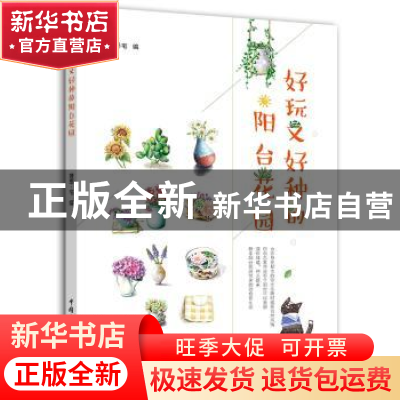 正版 好玩又好种的阳台花园 理想·宅编 中国电力出版社 978751981