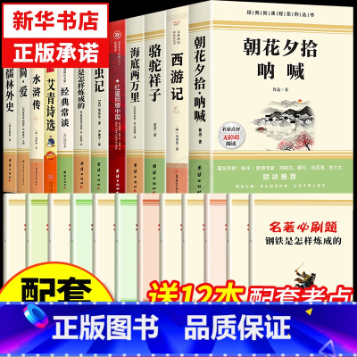 [完整版 12册]7-9年级必读名著十二本 [正版]朝花夕拾鲁迅七年级必读书和西游记原著完整版120回七年级上册的课外书
