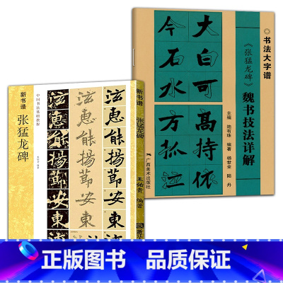[正版]2册 张猛龙碑中国书法基础教程新书谱+《张猛龙碑》魏书技法详解张猛龙原碑帖技法精讲 书法集字高清放大旁注章法部