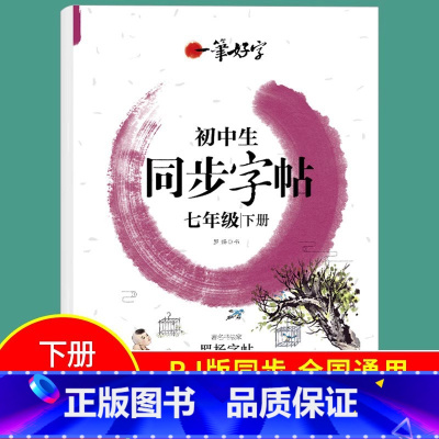 国一下册 小学通用 [正版]小学生练字帖同步字帖人教版语文一 二 三年级 四年级 五 六 国一上册下册罗扬字帖每日一练一
