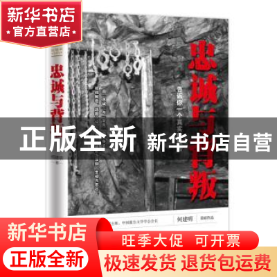 正版 忠诚与背叛 何建明著 天地出版社 9787545532111 书籍