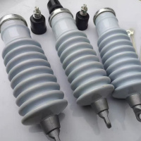 兴京阳 户外陶瓷氧化锌保护器 欧式后插保护器 Y5WS 组
