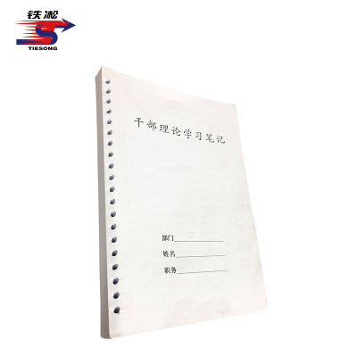 铁凇 干部理论学习笔记(内页) A5 册