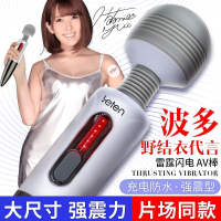 雷霆(LETEN)闪电AV震动棒女用按摩器女性系列振动棒舔器 成人情趣性用品充电大号强力大粗充电变频