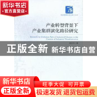 正版 产业转型背景下产业集群演化路径研究 赵忠华著 经济管理出