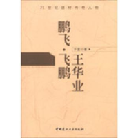 音像鹏飞·飞鹏 王华业于雷著