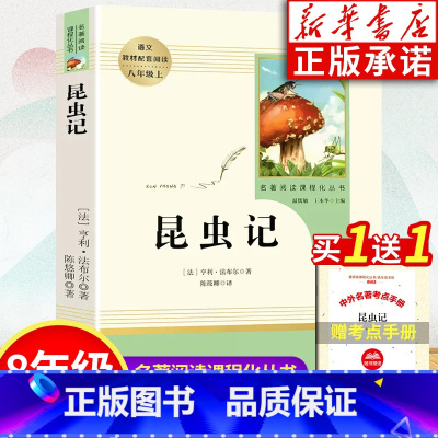 昆虫记 [正版]昆虫记含原著人民教育出版社 广东书店昆虫记八年级上必读人教版 法布尔昆虫记初中生初二课外书经典名著