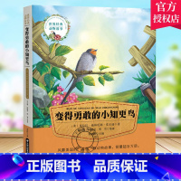 单本全册 [正版] 变得勇敢的小知更鸟 注音版 世界经典动物故事 克拉拉迪林厄姆皮尔逊 儿童小说书籍 小学儿童课外读物书