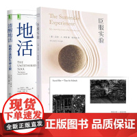 臣服实验+清醒地活 共两册 迈克·A.辛格著 不羁的灵魂的作者真真实的人生故事 清醒 觉察 自我 平和 喜悦 幸福 自我