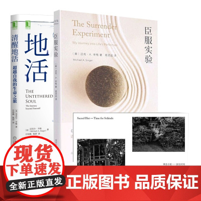 臣服实验+清醒地活 共两册 迈克·A.辛格著 不羁的灵魂的作者真真实的人生故事 清醒 觉察 自我 平和 喜悦 幸福 自我
