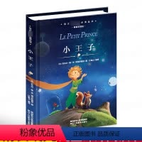 [正版]小王子 精装版 小学生青少年书籍 儿童文学世界名著 课外阅读 语文丛书 文学名著小学生阅读 硬皮精装 典藏版