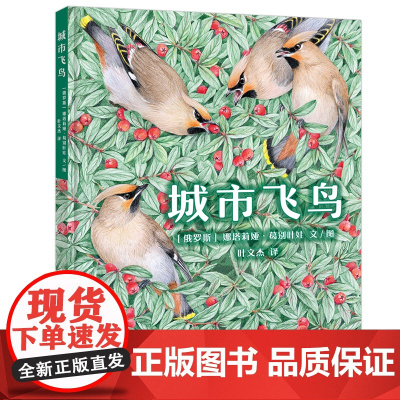 城市飞鸟 6岁以上亲子共读一部关于可以在城市范围内找到的鸟类指南自然科普 鸟类图鉴 生态保护 艺术教育细腻温柔的彩铅绘图