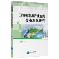 音像环境规制与产业空间分布演化研究关海玲
