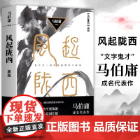 风起陇西 马伯庸成名代表作2021版 陈坤白宇郭京飞Angelababy等主演电视剧原著小说 诸葛亮北伐期间三国时代秘