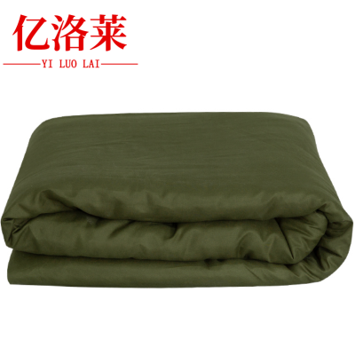 亿洛莱 褥子 1.2*2m 4斤 床