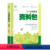 小学语文资料包 小学通用 [正版]通城学典2023小学语文资料包 小学语文知识大全小学语文考点全归纳全国通用小学一二三四