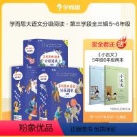 第3学段全套 [正版]大语文分级阅读第三学段第一二三辑共22册 小学语文课外阅读呼兰河传 城南旧事 地心游记 鲁滨孙漂流