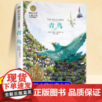 国际大奖小说青鸟正版小学三四五六年级课外阅读书童话故事书8岁以上儿童文学经典书籍适合小学生看的课外书儿童阅读书美绘典藏版