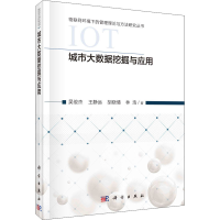 音像城市大数据挖掘与应用吴俊杰 等