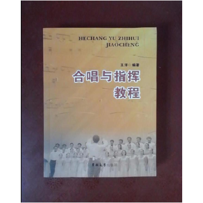 正版新书]合唱与指挥教程王洋9787567728981
