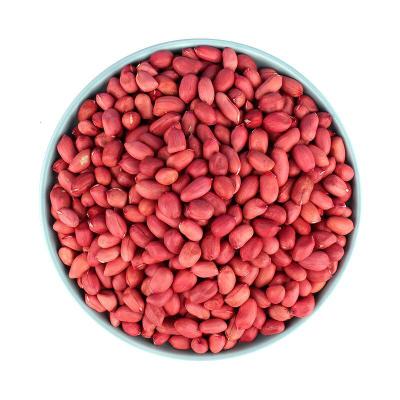 东北红衣生花生米黑龙江四粒红花生仁新鲜红皮不带壳生的新货东北红衣花生米（生）500gX2袋