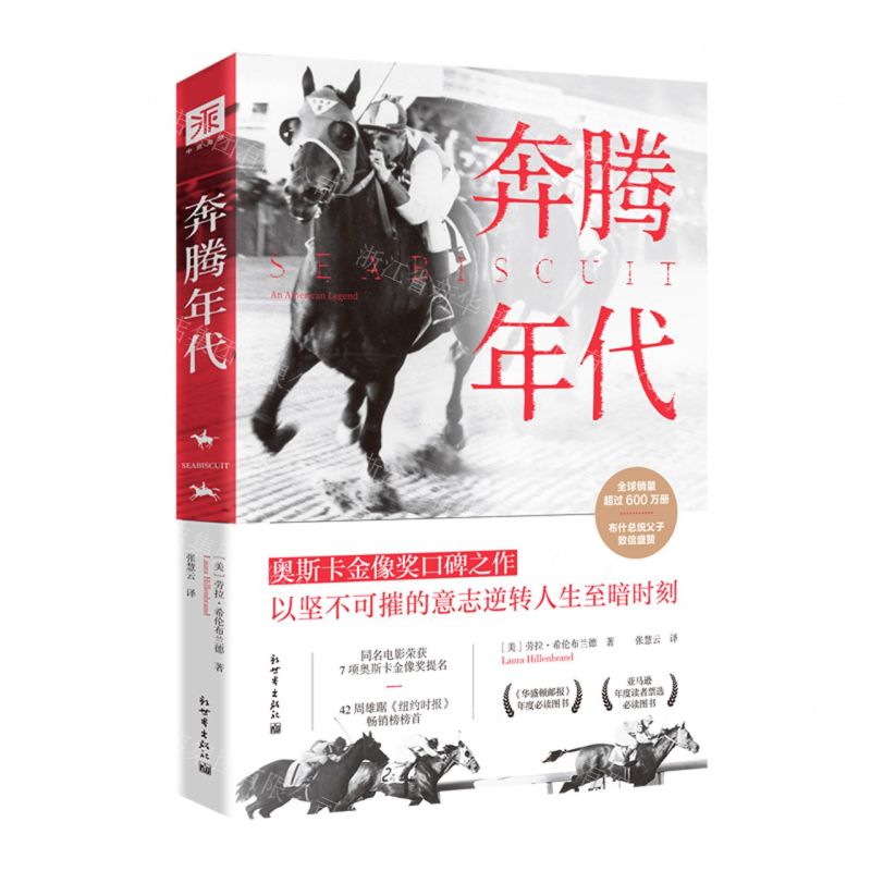 [N]奔腾年代-9787510473036