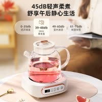 LOTOR家用电水壶办公烧水壶D8养生壶-1