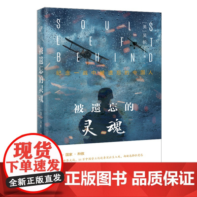 被遗忘的灵魂 纪念一战中被遗忘的中国人 吴帆著 冯骥才周大新盛赞 花城出版社正版书籍