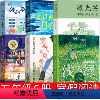 五年级套装全6册 [正版]闪闪发光的心愿 五年级课外书克里斯蒂娜松托瓦著出版社 23年百班千人必读小学生下册适合走过两个