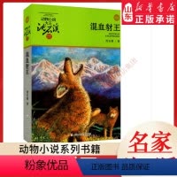 混血豺王 [正版]书店 混血豺王 动物小说大王沈石溪·品藏书系 中/小学生阅读少儿读物 儿童文学