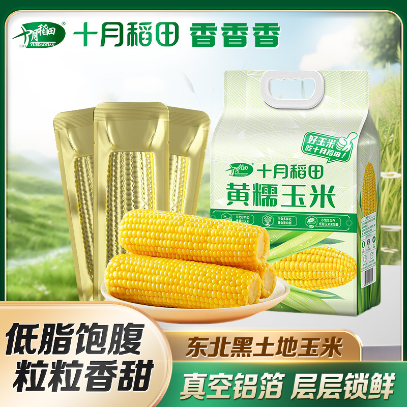 十月稻田黄糯玉米220g*8根*2袋共16根东北玉米棒甜糯低脂新鲜真空装